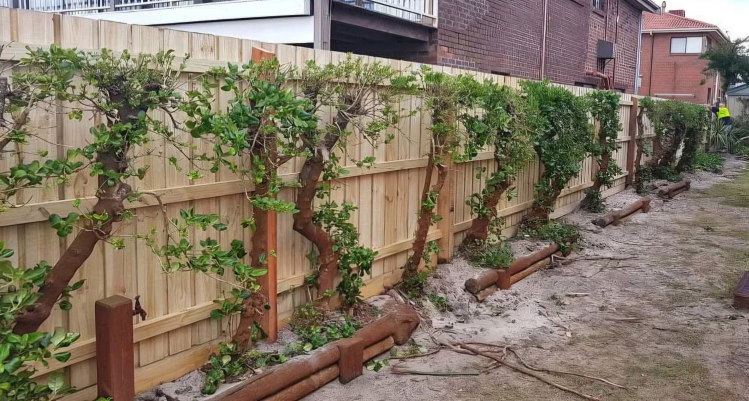 Timber boundary fence 7