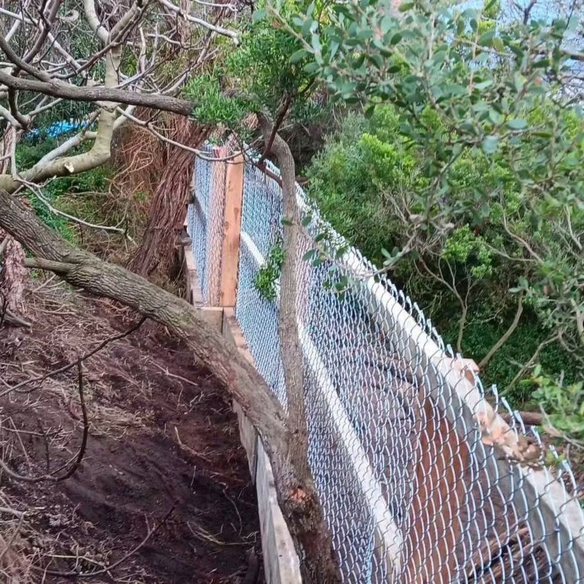 Wire Fencing project 4