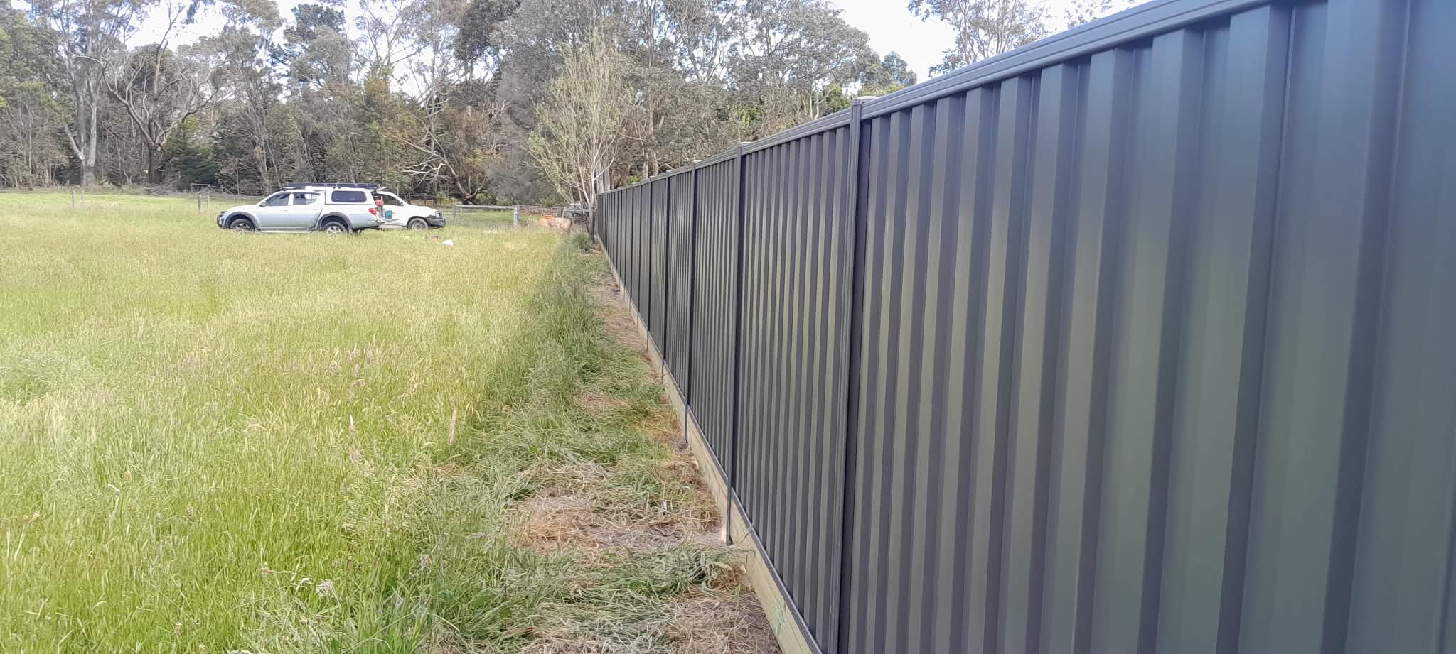 Colorbond Fencing project 6