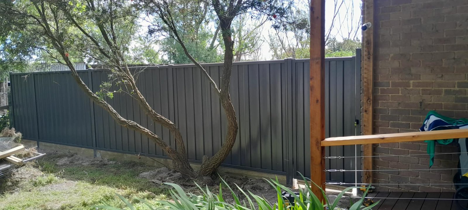 Colorbond boundary fence with gate